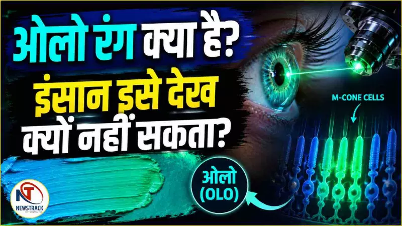 What is Olo Color