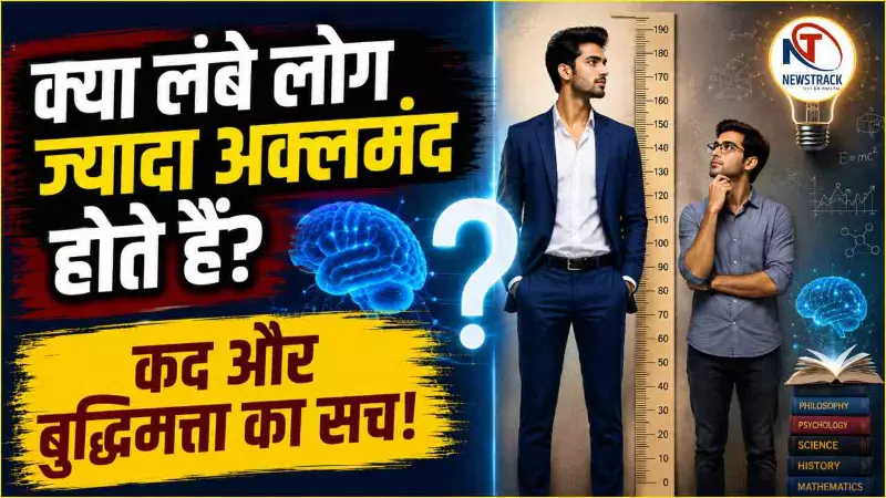 Height and Intelligence Explained