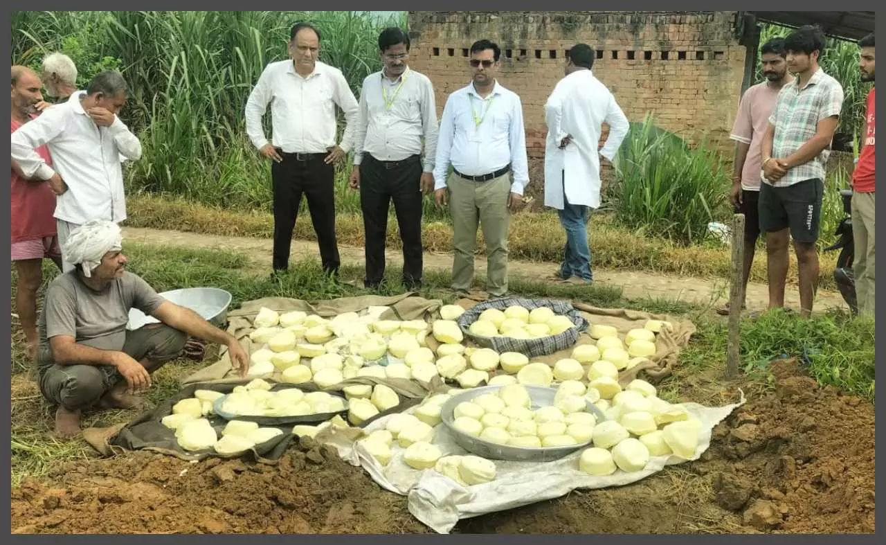 Food departments massive action before Raksha Bandhan, 455 kg of Mawa and 65 kg of cheese destroyed