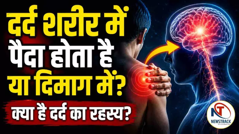 Pain Science Explained in Hindi