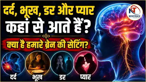 Pain Brain Science Explained: दर्द, भूख, डर और प्यार दिमाग में कैसे बनते हैं? जानिए विज्ञान Pain Brain Science Explained: दर्द, भूख, डर और प्यार दिमाग में कैसे बनते हैं? जानिए विज्ञान
