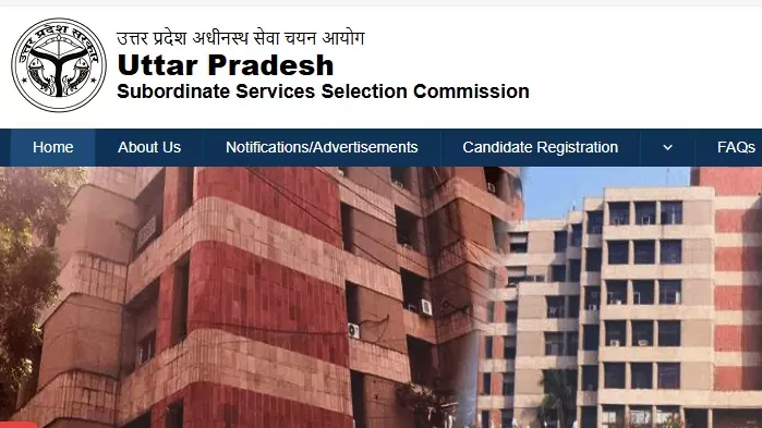 UPSSSC Female Health Worker Result 2024: महिला हेल्थ वर्कर भर्ती का रिजल्ट जारी, देखें UR, SC, ST, OBC और EWS कटऑफ UPSSSC Female Health Worker Result 2024: महिला हेल्थ वर्कर भर्ती का रिजल्ट जारी, देखें UR, SC, ST, OBC और EWS कटऑफ