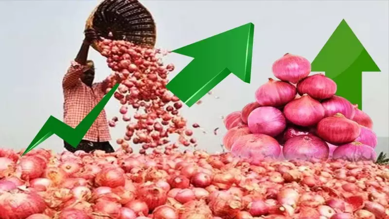 Onion Price Today Onion Price Today