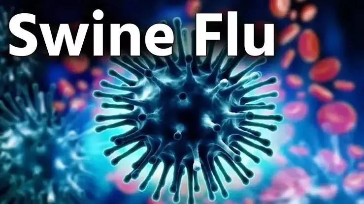 Noida Swine Flu Alert