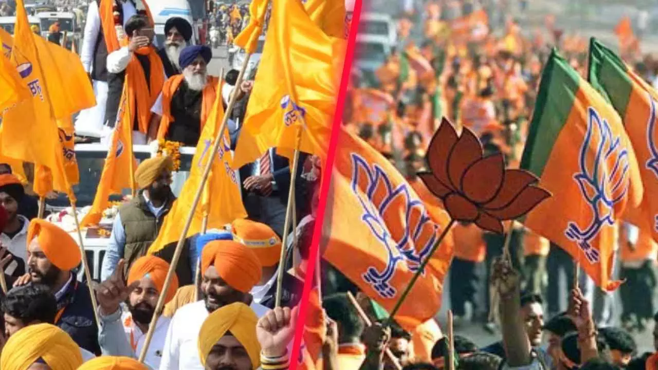 BJP बनेगी बिग ब्रदर! अकाली दल से गठबंधन की तैयारी, क्या पंजाब में बन गया गठबंधन का पूरा प्लान?