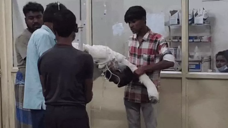 Mauganj Petrol Attack: 4 Injured After Alleged Fuel Attack During Eid Preparations Mauganj Petrol Attack: 4 Injured After Alleged Fuel Attack During Eid Preparations