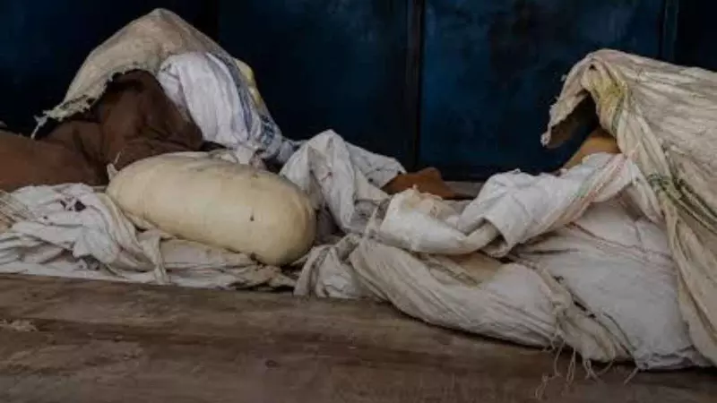 रक्षाबंधन से पहले लखनऊ में FSDA की बड़ी कार्रवाई, खोया-तेल और बच्चों के चूरन से भरी गाड़ियां सीज रक्षाबंधन से पहले लखनऊ में FSDA की बड़ी कार्रवाई, खोया-तेल और बच्चों के चूरन से भरी गाड़ियां सीज