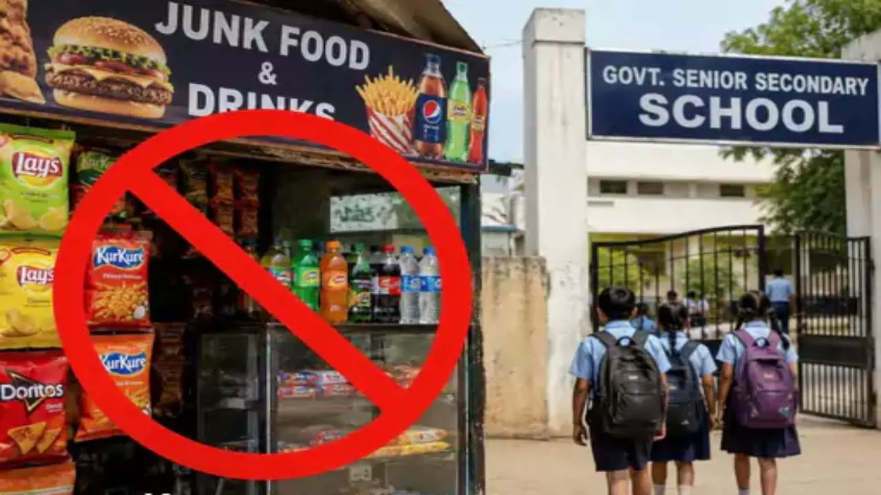 Rajasthan Junk Food Ban