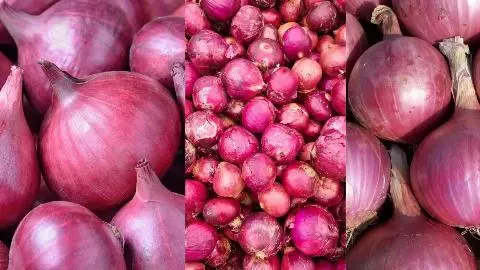 Onion Price Rise 2026