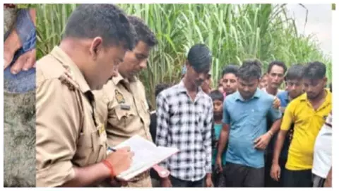 Lakhimpur Kheri: पढ़ुआ में खेत से कलीम का शव मिलने से सनसनी, हत्या की जांच में जुटी पुलिस
