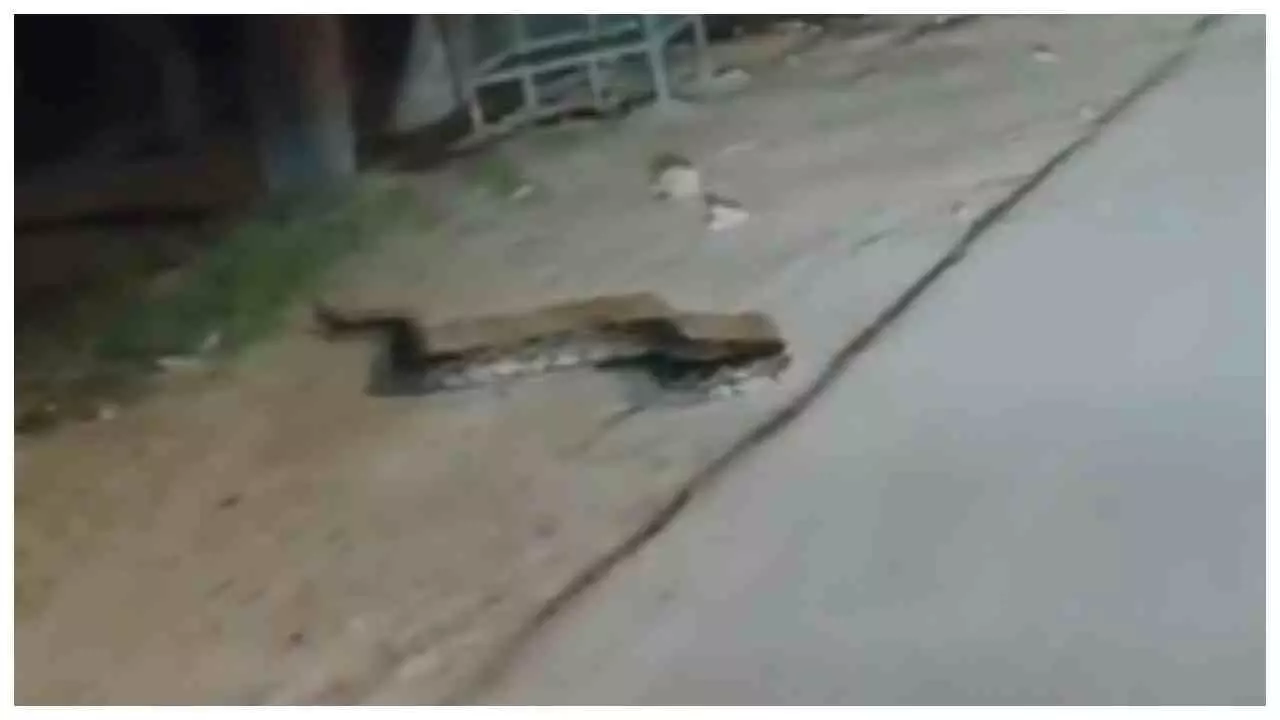 Mathura News: रक्षाबंधन की रात सड़क पर निकला 7 फीट का अजगर, मथुरा-वृंदावन रोड पर थमे पहिए Mathura News: रक्षाबंधन की रात सड़क पर निकला 7 फीट का अजगर, मथुरा-वृंदावन रोड पर थमे पहिए