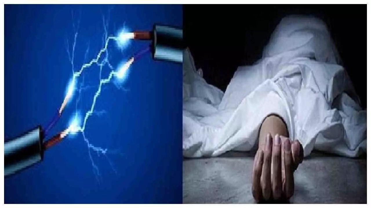 Hapur News: शटडाउन के बावजूद 11 हजार की लाइन में दौड़ा करंट, पोल से गिरा संविदाकर्मी; मौत