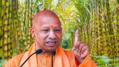 UP News UP News