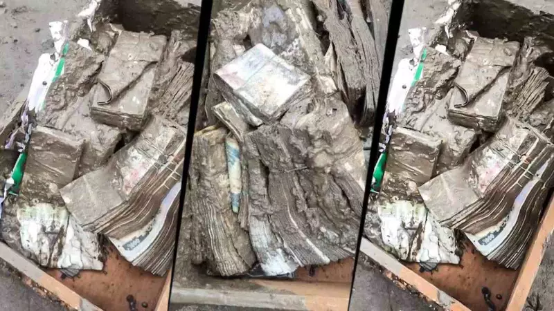 सोना-चांदी और कई बक्से कैश...नेपाल बाढ़ में जलमग्न बैंक से निकला 50 करोड़ का खजाना, रेस्क्यू टीम के उड़े होश! सोना-चांदी और कई बक्से कैश...नेपाल बाढ़ में जलमग्न बैंक से निकला 50 करोड़ का खजाना, रेस्क्यू टीम के उड़े होश!