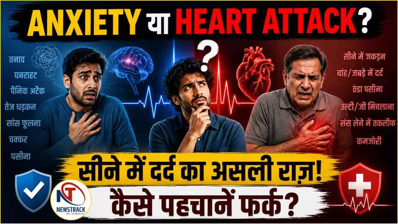 Anxiety Heart Vs Attack Symptoms Explained