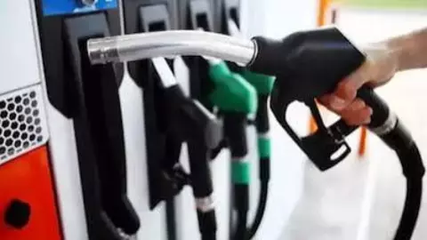 Petrol-Diesel Price Today: Fuel Rates Unchanged on September 3, Check City-Wise Prices