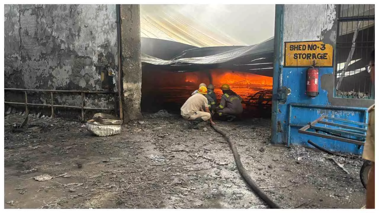 हापुड़ की फैक्ट्री में भीषण आग से मचा हड़कंप, फोम से भरे शेड में उठीं लपटें; तीन मजदूर झुलसे हापुड़ की फैक्ट्री में भीषण आग से मचा हड़कंप, फोम से भरे शेड में उठीं लपटें; तीन मजदूर झुलसे