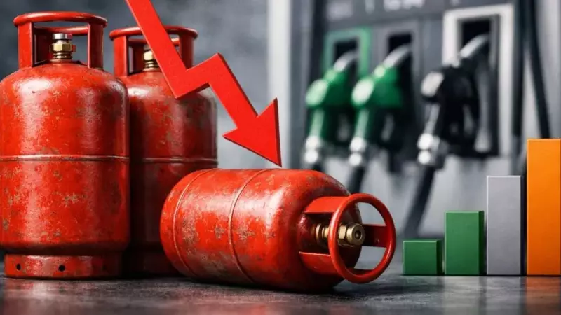 LPG Consumption Falls 16%: Are Indian Homes Shifting to PNG? Know the Reasons LPG Consumption Falls 16%: Are Indian Homes Shifting to PNG? Know the Reasons