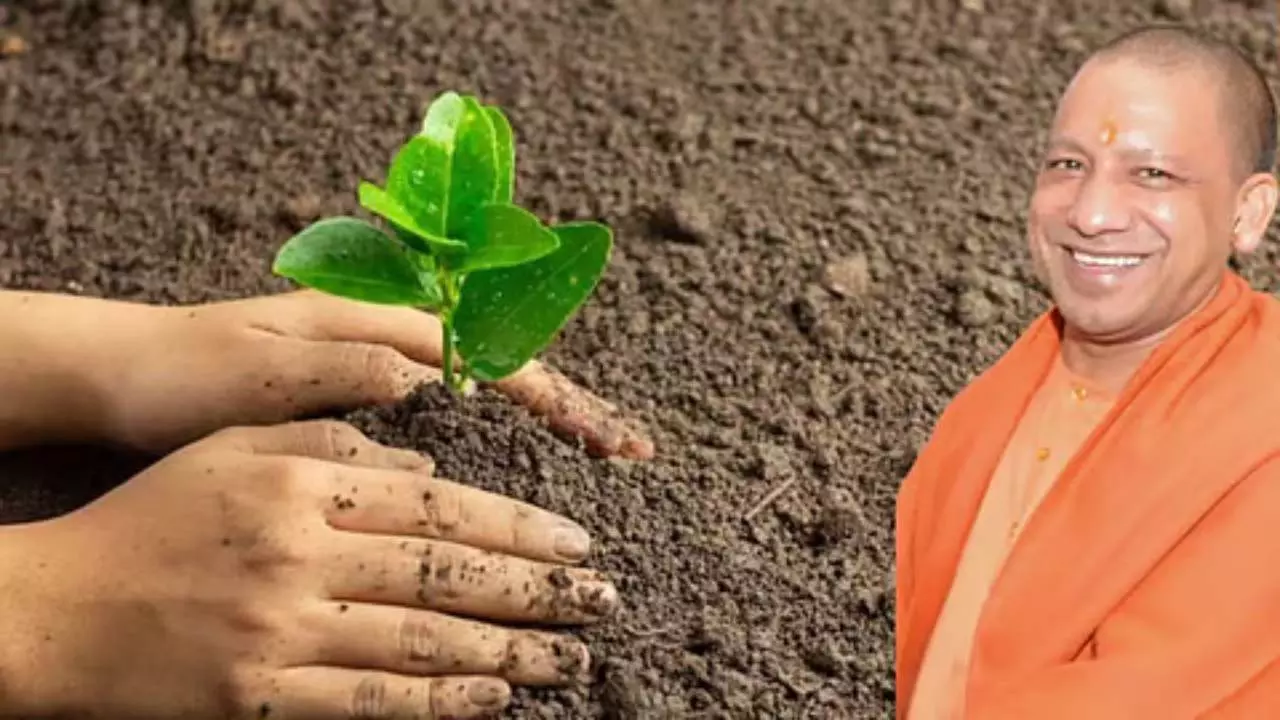 Teachers Day 2026: UP Launches ‘Ek Ped Guru Ke Naam’ Plantation Drive Today