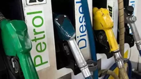 Petrol-Diesel Price Today: Fuel Rates Unchanged on September 8, Check City-Wise Prices
