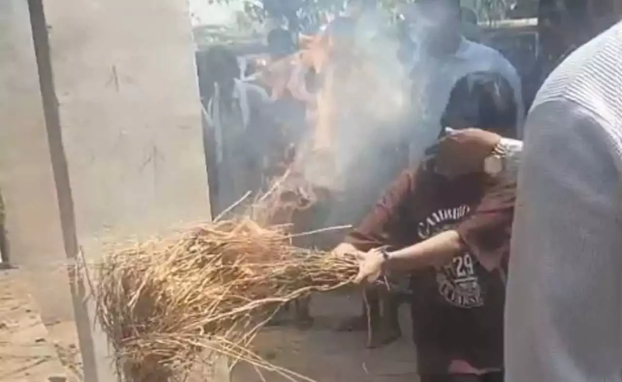 Brother Killed in Delhi buildings