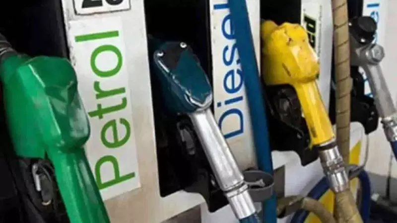 Petrol Diesel Price Today: Fuel Rates Unchanged as Crude Stays Above $100