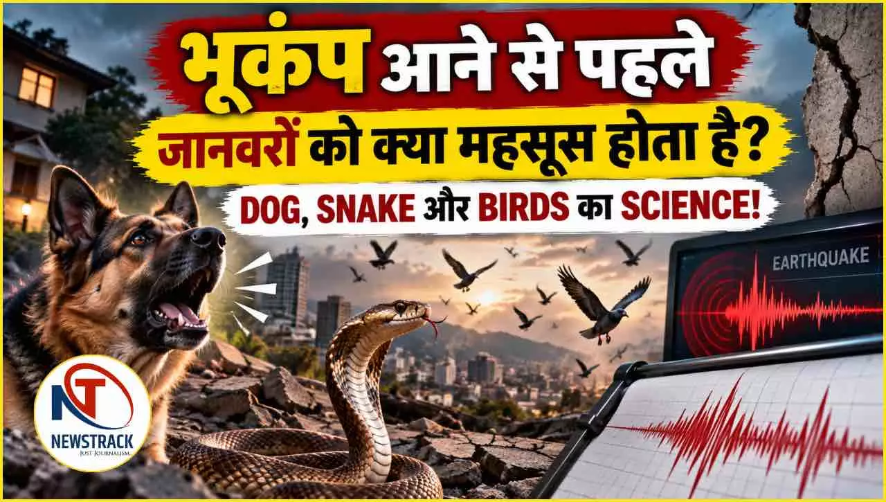 Animals Predict Earthquakes Explained in Hindi Animals Predict Earthquakes Explained in Hindi