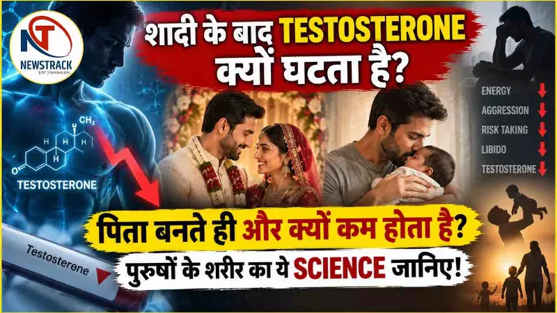 Testosterone Level After Marriage Explained in Hindi