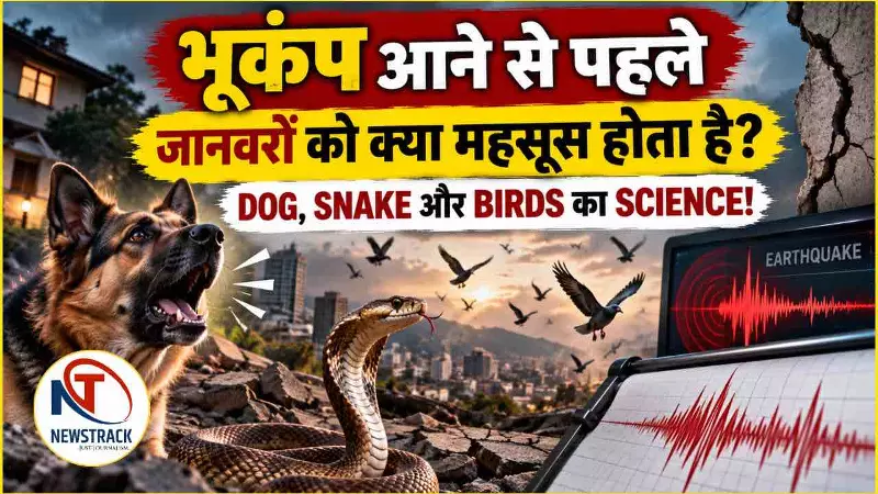 Animals Predict Earthquakes Explained in Hindi