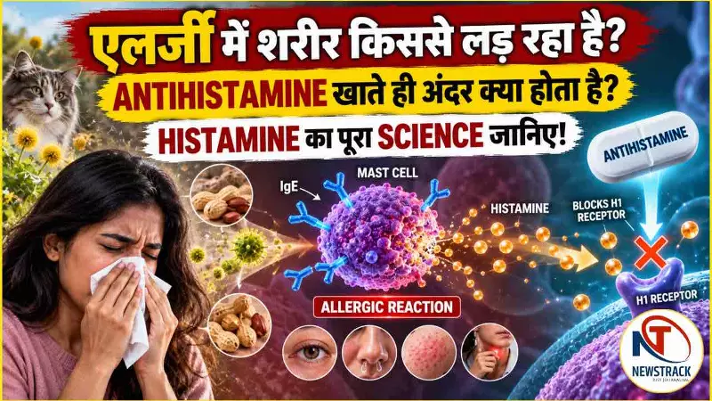Allergy Se Hone Wale Nuksan Allergy Immune System Explained in Hindi
