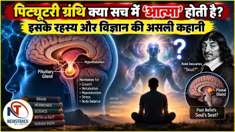 Pituitary Gland Function Explained in Hindi
