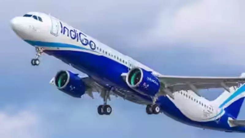 IndiGo: Extra Charges Rise for Baggage, Infants and Priority Services