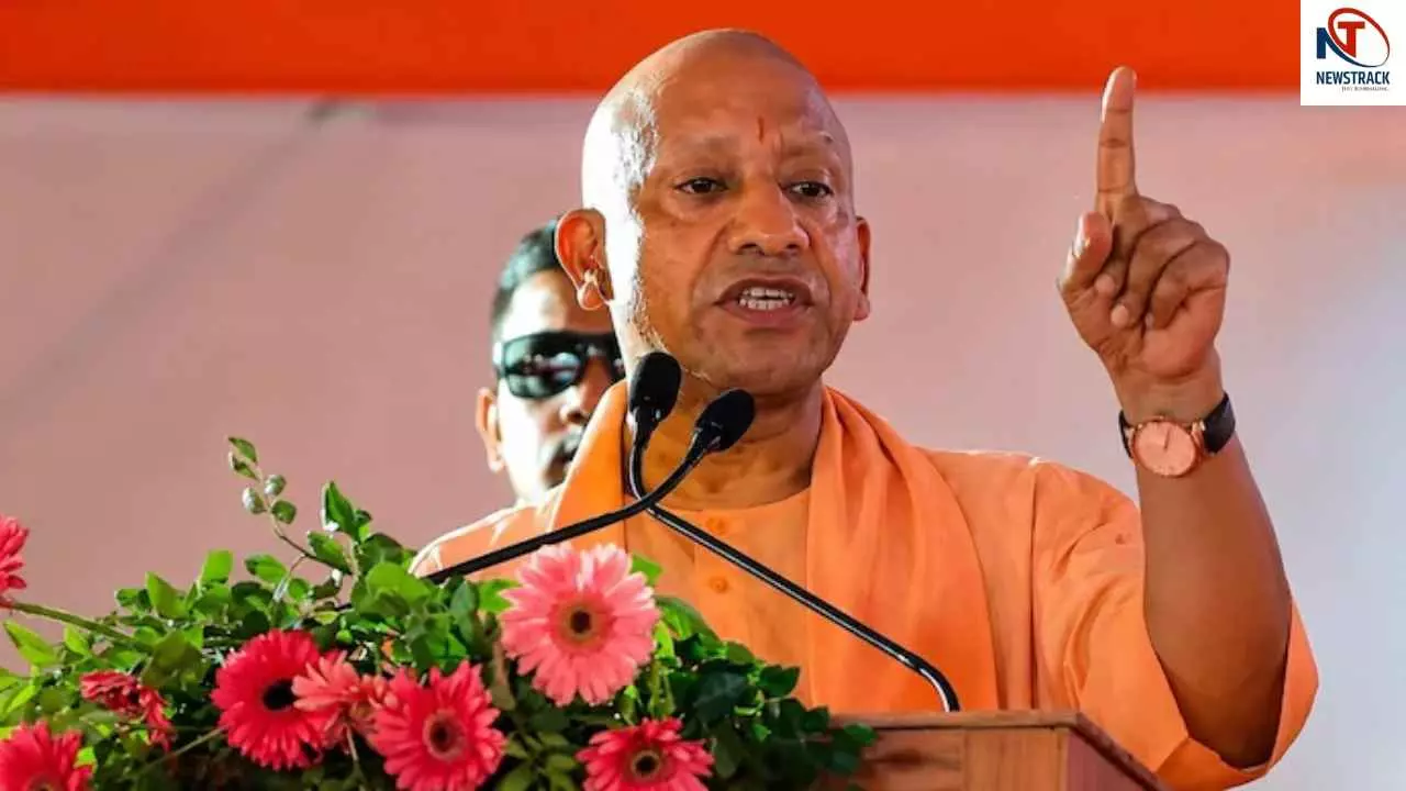 Yogi Government