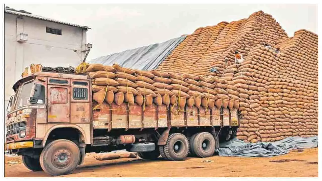 Hapur News:  FCI गोदाम से 12 लाख का सरकारी चावल गायब, ट्रांसपोर्टर पर FIR