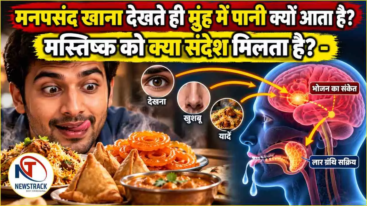 Food and Brain Connection Explained in Hindi Food and Brain Connection Explained in Hindi