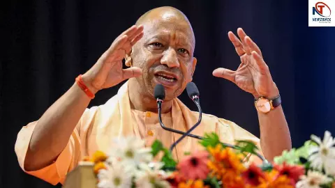 Yogi Government