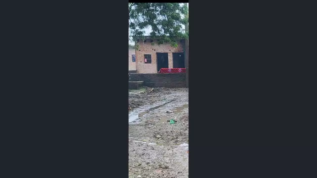 Kaushmabi News Kaushmabi News