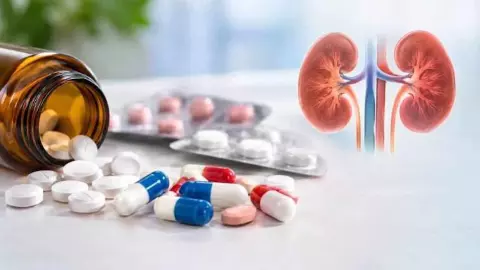 CDSCO Painkiller Warning: New Alert on Painkillers, Antibiotics and Kidney Health