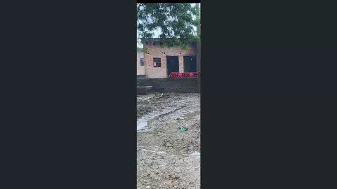 Kaushmabi News