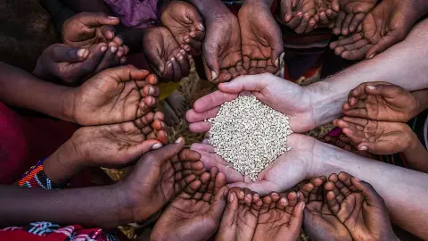 दाने-दाने के लिए भारत का मुंह ताक रहा बांग्लादेश! आखिर क्यों हुई पड़ोसी की ऐसी हालत? दाने-दाने के लिए भारत का मुंह ताक रहा बांग्लादेश! आखिर क्यों हुई पड़ोसी की ऐसी हालत?