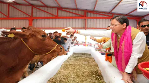 CM Pushkar Singh Dhami CM Pushkar Singh Dhami