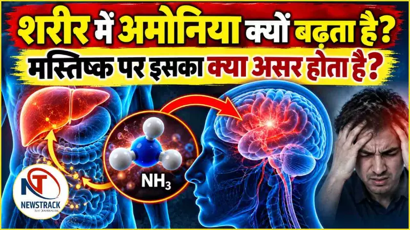 Ammonia Brain Effects Explained in Hindi Ammonia Brain Effects Explained in Hindi