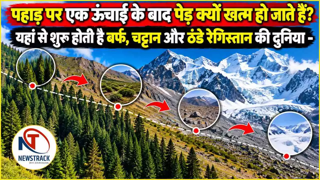 Alpine Zone Explained Pahad Par Tree Line Ke Baad Ped Kyon Khatam Hote Hai Alpine Zone Explained Pahad Par Tree Line Ke Baad Ped Kyon Khatam Hote Hai
