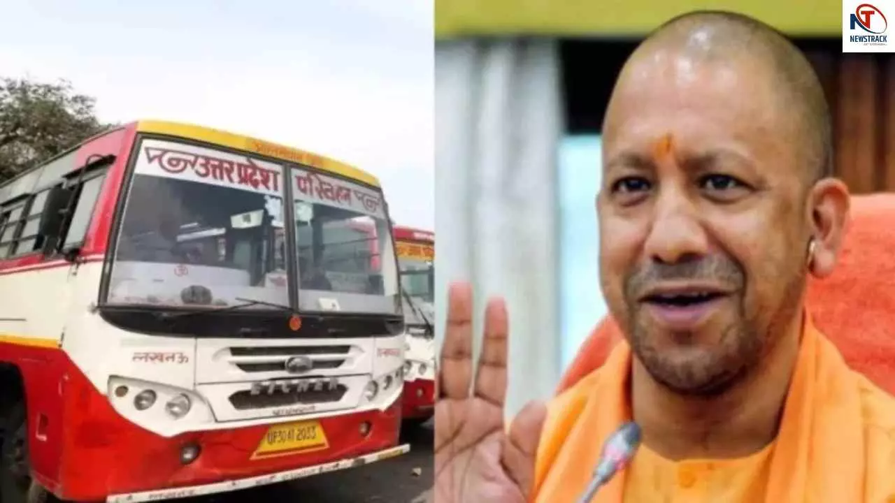 Yogi Government