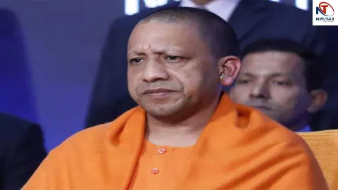Yogi Government Yogi Government
