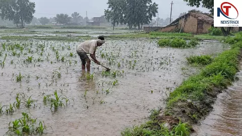 Jalaun News: जालौन में बारिश से फिर लबालब हुए खेत, रबी की फसल की तैयारी पर संकट