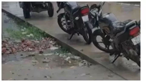 Balrampur News: कार गुजरते ही भरभराकर गिरा विशाल पेड़, टला बड़ा हादसा, वीडियो में कैद हुआ मंजर Balrampur News: कार गुजरते ही भरभराकर गिरा विशाल पेड़, टला बड़ा हादसा, वीडियो में कैद हुआ मंजर