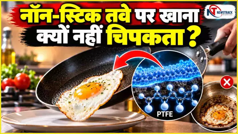 Non Stick Pan Safety Explained in Hindi Non Stick Pan Safety Explained in Hindi