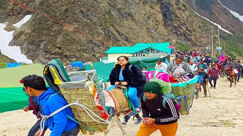 Uttarakhand News Uttarakhand News