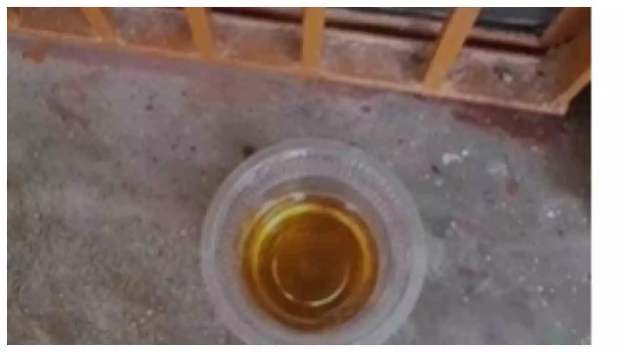 Chandauli News: पावर हाउस कार्यालय बना मयखाना, खिड़की पर छलकते दिखे जाम; वीडियो वायरल Chandauli News: पावर हाउस कार्यालय बना मयखाना, खिड़की पर छलकते दिखे जाम; वीडियो वायरल